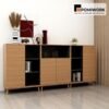 Tủ tài liệu gỗ cao cấp - Tủ hồ sơ văn phòng gọn đẹp, hiện đại